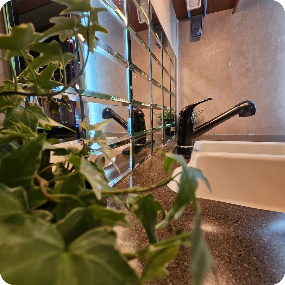 Coachman RV — mirrored sink detail with plants