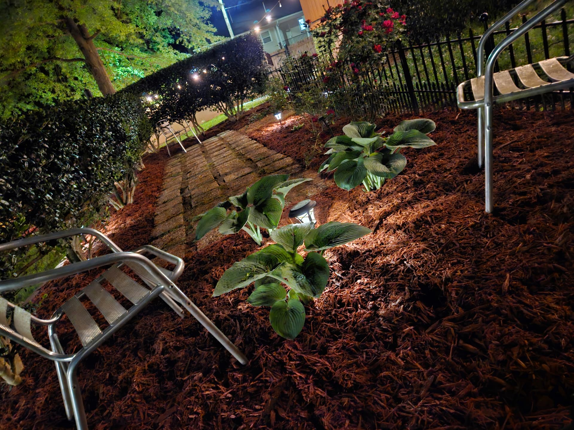 Urban Oasis — garden hostas and lounge chairs at night